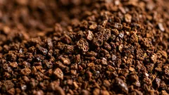 Proč byste neměli mlet kávu předem: Tajemství čerstvého mletí